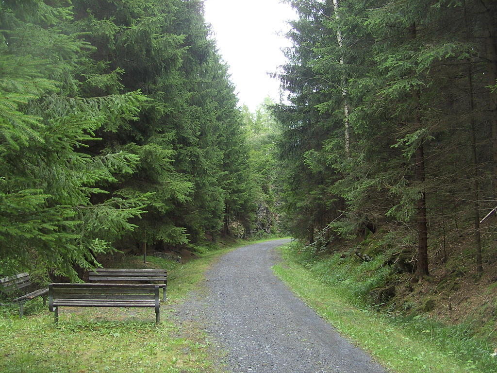 Buchberg Hotel 3*